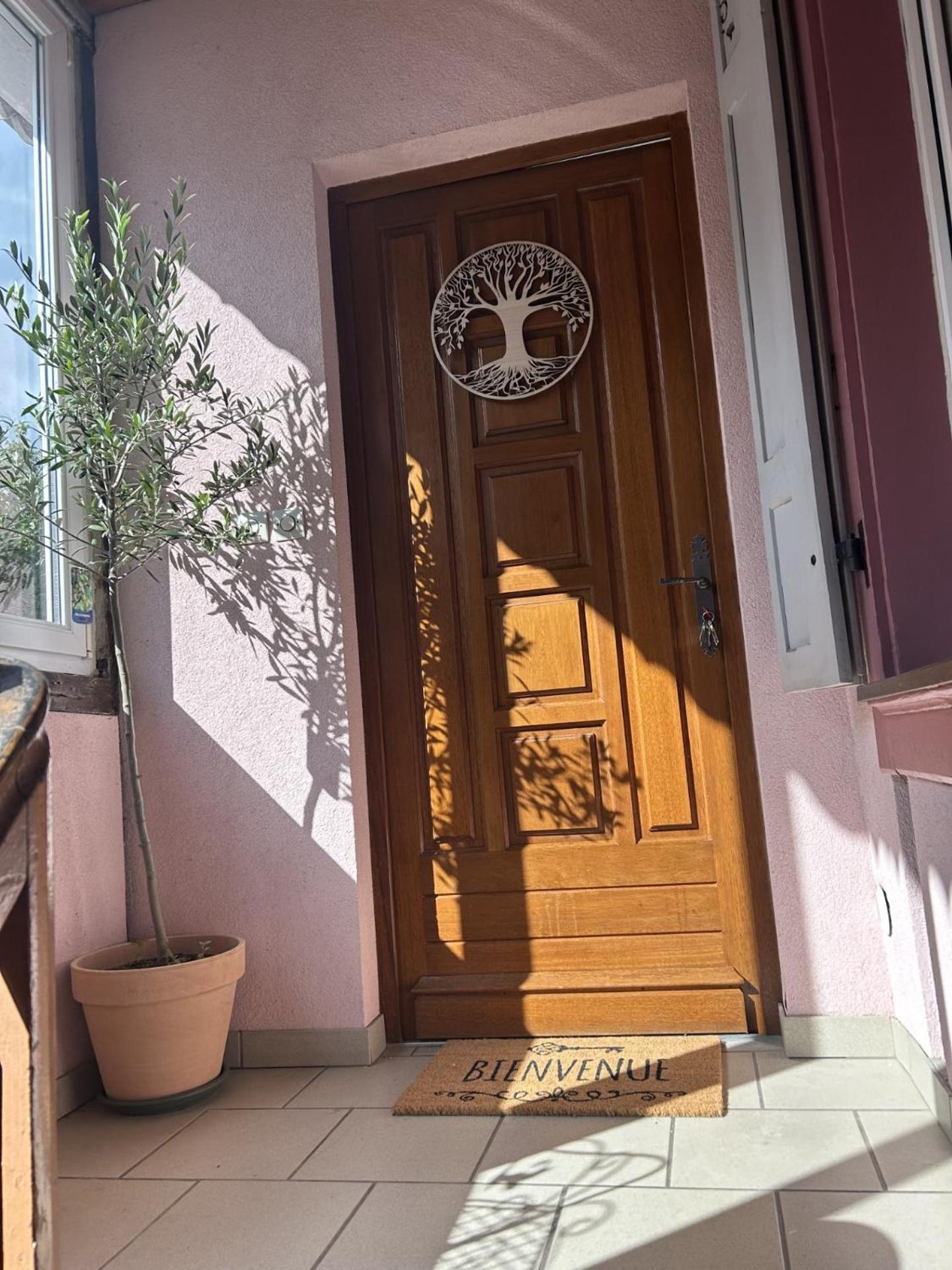 Le Petit Coin Des Oliviers Daire Colmar Dış mekan fotoğraf